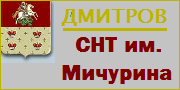 СНТ им. Мичурина